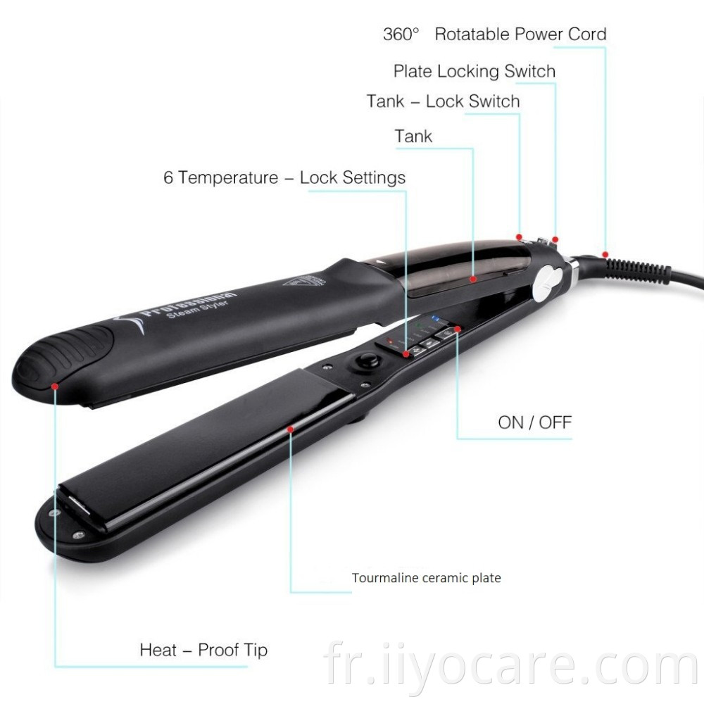 Brosse à défriser les cheveux à la vapeur pour le soin des cheveux et le thermostat à 6 vitesses